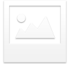 print icon